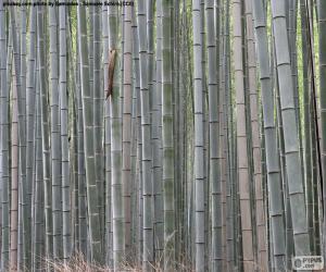 yapboz Japon bambu ormanı